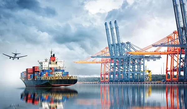 What Is Stock Throughput Insurance and Why It's Essential?